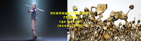 МДПВ Алзамай