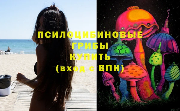МДПВ Алзамай