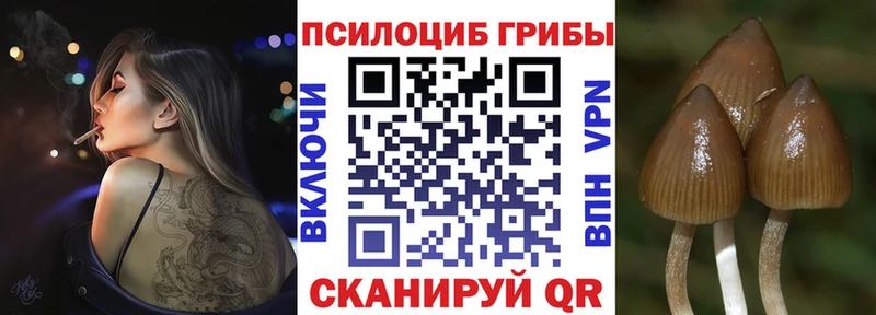 наркотики  Адыгейск  ссылка на мегу онион  Галлюциногенные грибы мухоморы 